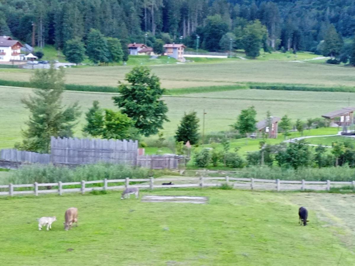 Maso Torbiera- Rural And Mountain Fiave