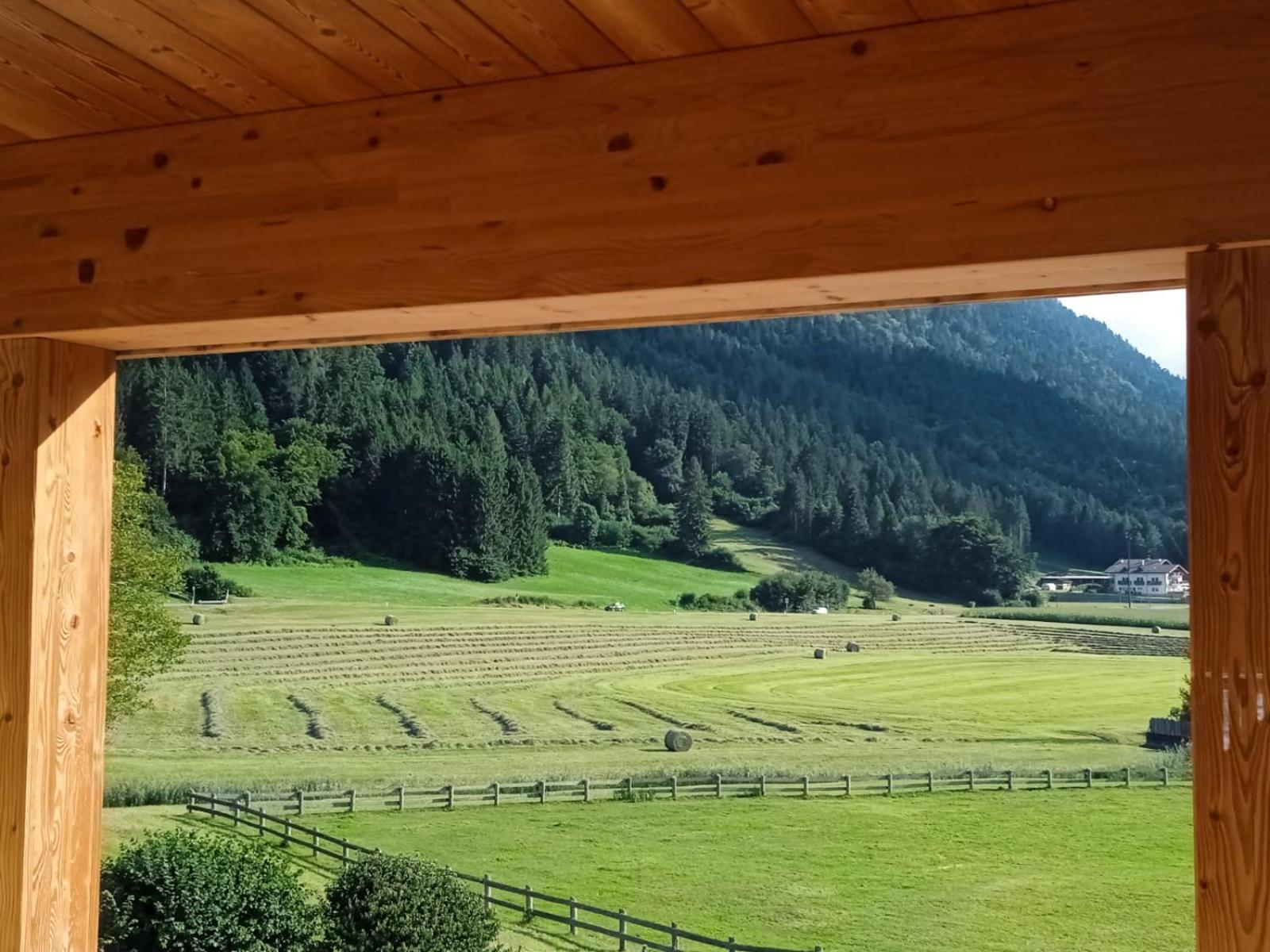 Bed & Breakfast Maso Torbiera- Rural And Mountain *