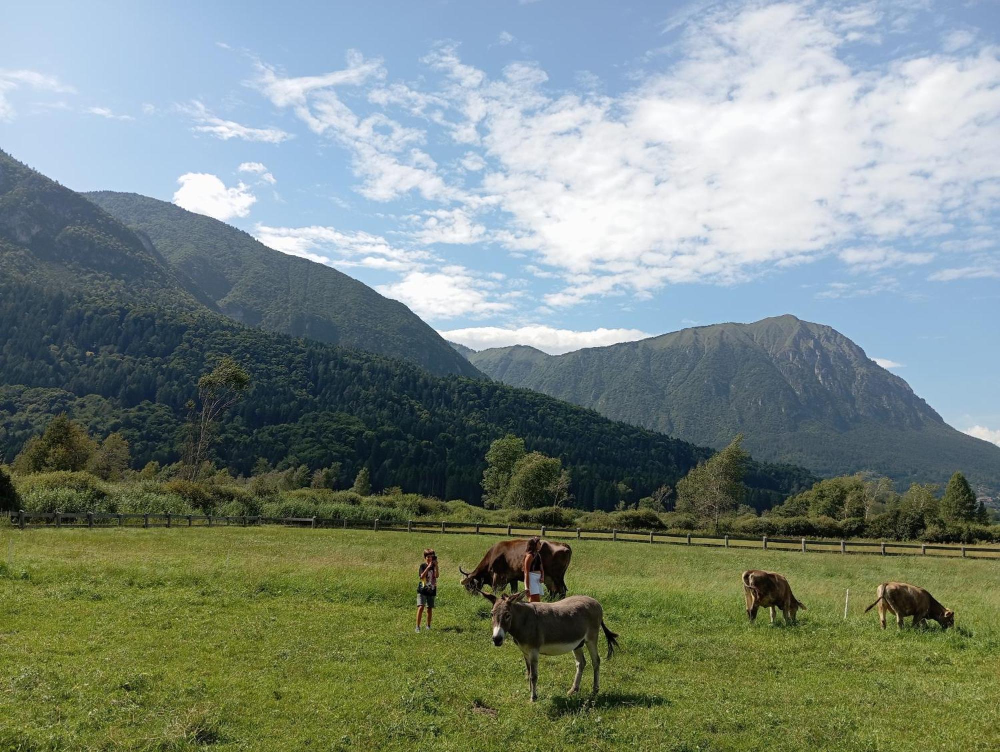 Bed & Breakfast Maso Torbiera- Rural And Mountain Fiavè